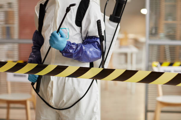 Professional Sewage Cleanup technician working in Carthage, NY